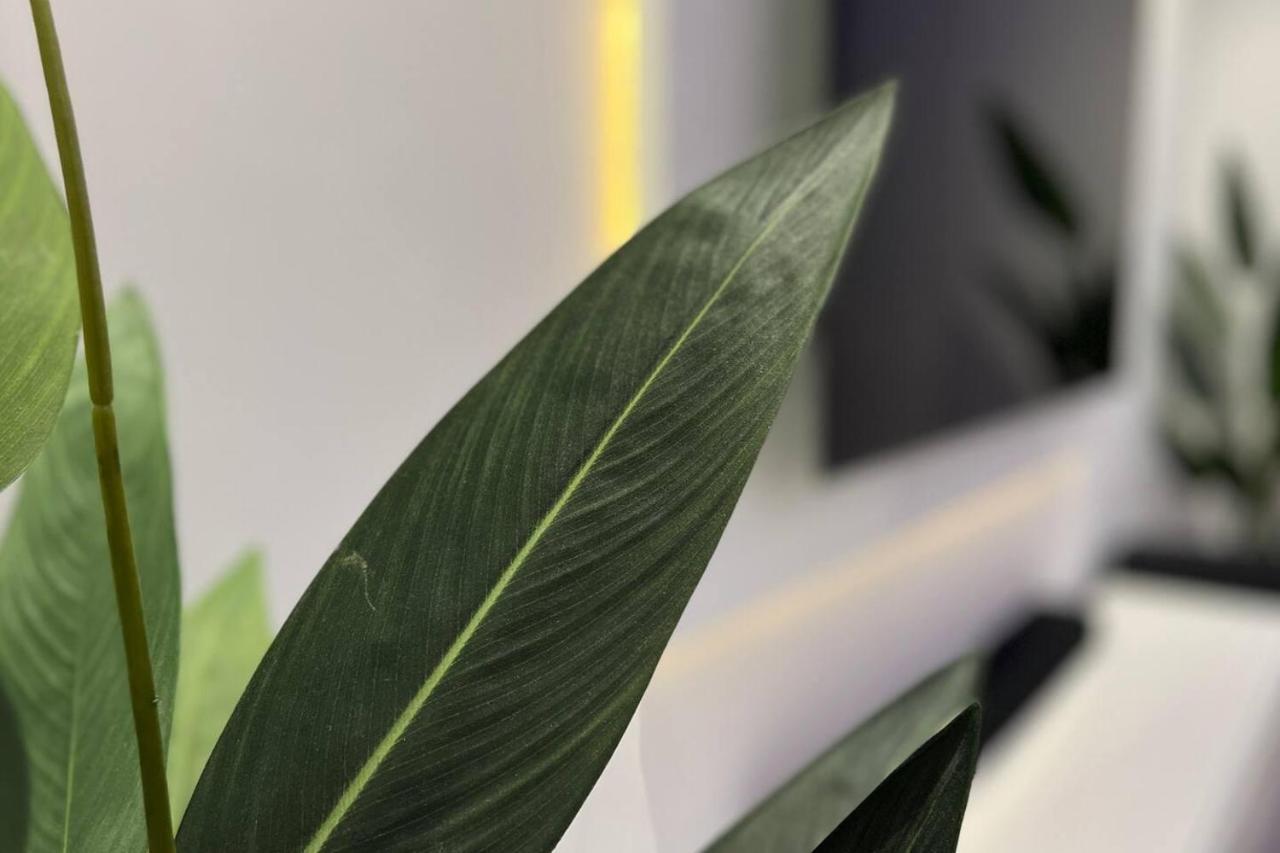 Stunning Luxury Apartment Near Motherwell ウィショウ エクステリア 写真